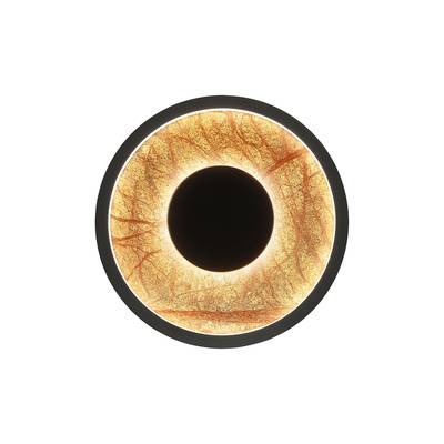 Настенный светильник  Tallar 4445-1W. ТМ Favourite