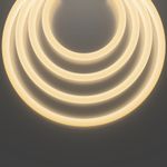 Гибкий неон Nemo S D25 24В 20Вт/м 3000К IP65 5м, 20306. TM Maytoni