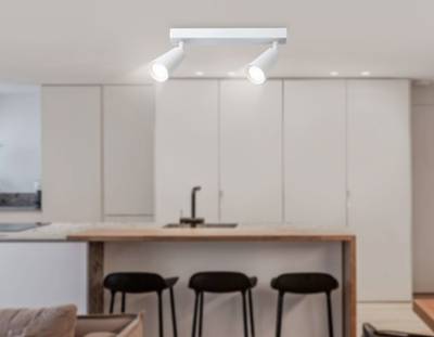 Светильник накладной TA13145/2 WH белый GU10/2 max 12W 295*60*130