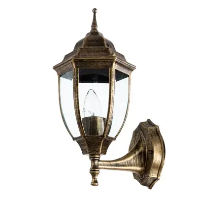 Уличный настенный светильник Arte Lamp PEGASUS A3151AL-1BN, 1хE27