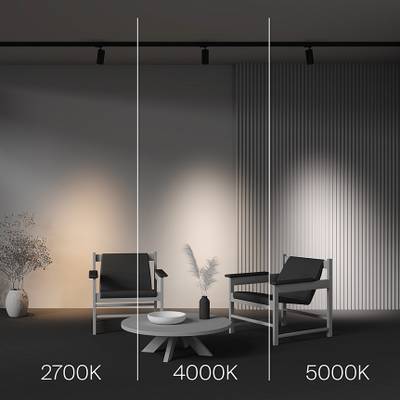 Трековый светильник Focus Led Trinity 2700-5000K 20Вт 36°, TR197-3-20WCCT-M-B. TM Maytoni