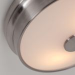 Потолочный светильник Pannikin 2691-2C. ТМ Favourite