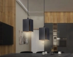 Светильник подвесной TN5125 BK черный E27 max 40W 80*80*1150