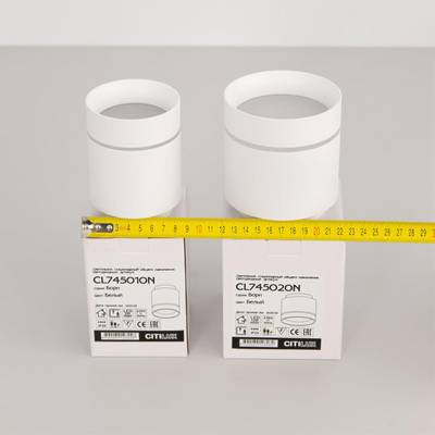 Citilux Борн CL745010N LED Светильник накладной Белый