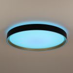 Citilux BOSS CL751451G LED RGB Светильник с пультом Чёрный с Золотом