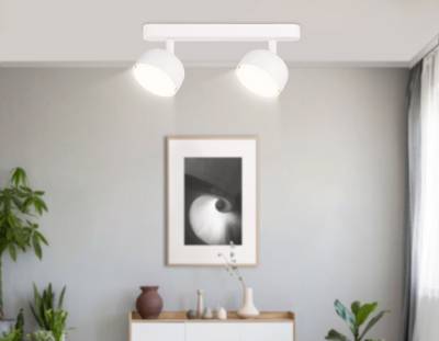 Светильник накладной TN71011/2 WH белый GX53/2 max 12W 260*80*90