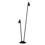 Ландшафтный светильник Arte Lamp MUPHRID A4109PA-2BK, 2хLED
