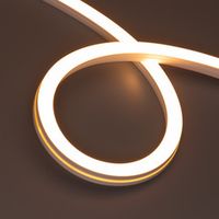 Гибкий неон