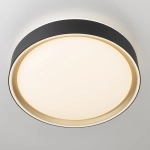 Citilux BOSS CL751251G LED RGB Светильник с пультом Чёрный с Золотом