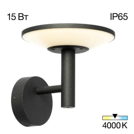 Citilux Dorn CLU05W LED Уличный настенный светильник Графит