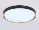Потолочный светодиодный светильник FZ1249 BK/GD черный/золото IP54 45W 5000K D480*60 (Без ПДУ)