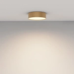 Потолочный светильник Зон / Zon 24 Вт 3000 К 120°, C032CL-24W3K-RD-MG. TM Maytoni