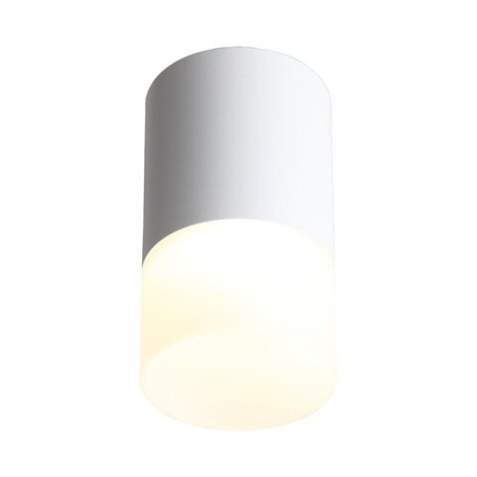 ST100.502.05 Светильник потолочный Белый LED 1*5W 3000K 390Lm Ra>80 120° D64xH110 170-240V