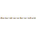 Светодиодная лента RT-A168-10mm 24V Warm3000 (17 W/m, IP20, 2835, 5m) (Arlight, Открытый)