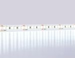 Светодиодная лента GS3213 2835 180Led/ 14.4W m/ 24V IP20 6500K/ 5000*10*1.2mm/ кратность резки 33mm (2 конт.)