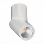ST650.532.10 Светильник потолочный Белый LED 1*10W 3000K 800Lm Ra&gt;90 38° IP44 D60xH175 165-265V