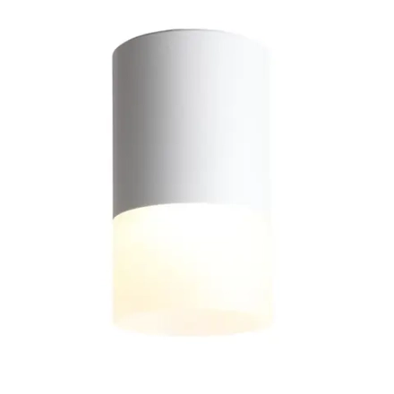 ST100.502.05 Светильник потолочный Белый LED 1*5W 3000K 390Lm Ra>80 120° D64xH110 170-240V