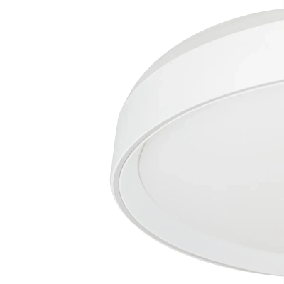 Citilux BOSS CL751450G LED RGB Светильник с пультом Белый