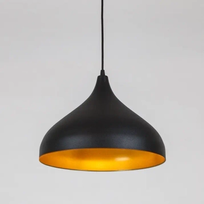 Подвесной светильник Arte Lamp CARMEL A7076SP-1BK, 1хE14