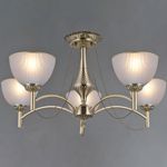 IL0653-5CSQ-25AB ELITE светильник потолочный