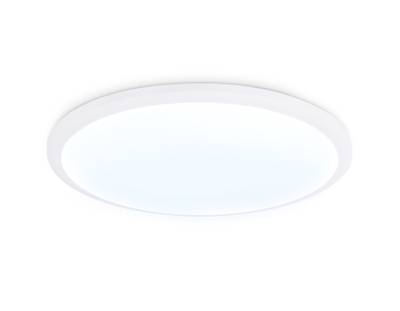 Потолочный светодиодный светильник FZ1231 WH белый IP44 42W 6400К D370*55 (Без ПДУ)