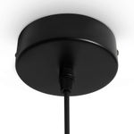 Подвесной светильник Swim FR6187PL-L9SM, LED. TM Maytoni