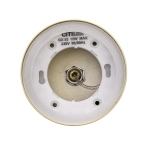 Citilux Hardy CL002P12 Подвесной светильник Золото