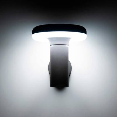 Citilux CLU01W LED Уличный настенный светильник Графит