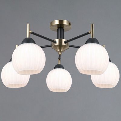 IL0579-5CSQ-25 BK AB TRENTO светильник потолочный
