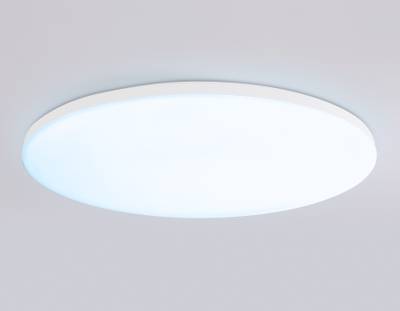 Потолочный светодиодный светильник с Wi-Fi Яндекс Алисой/Tuya/Smart Home/Alexa  FZ2003 WH белый IP54 30W 3000K-6500K+RGB D450*60 (ПДУ ИК