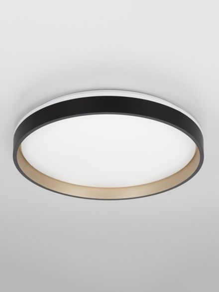 Citilux ENZO CL753451G LED RGB Светильник с пультом Черный + Золото