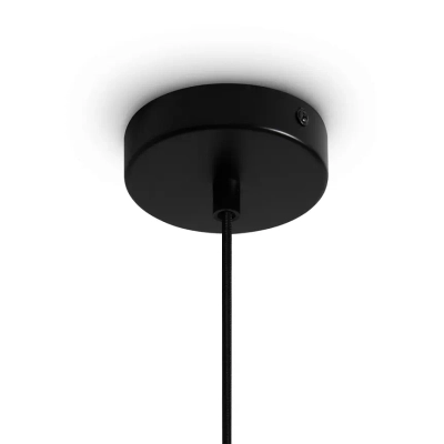 Подвесной светильник Terra FR5582PL-01W, GU10х1. TM Maytoni