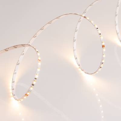 Светодиодная лента MICROLED-M240-4.5mm 24V White-CDW (9.6 W/m, IP20, 2216, 5m) (Arlight, узкая)