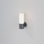 Настенный светильник (бра) Willis E27х1, IP54, O418WL-01GR. TM Maytoni