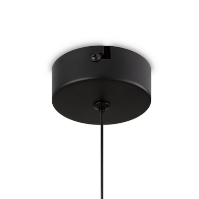 Подвесной светильник Ida FR6133PL-L4SM, LED. TM Maytoni