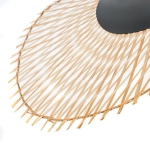 Подвесной светильник Arte Lamp WOODSTOCK A7063SP-1BK, 1хE27