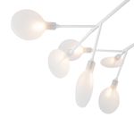 Потолочный светильник Florencia FR5049CL-27W2, G4х27. TM Maytoni