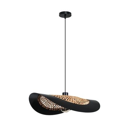 Подвесной светильник Arte Lamp WOODSTOCK A7059SP-1BK, 1хE27