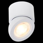ST654.532.10 Светильник потолочный Белый LED 1*10W 3000K 850Lm Ra&gt;90 38° IP20 D95xH96 180-240V