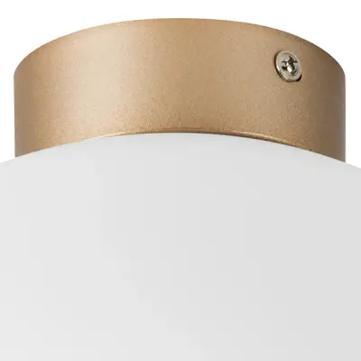 812033 Люстра GLOBO 1х40W E14 champagn gold/white Lightstar