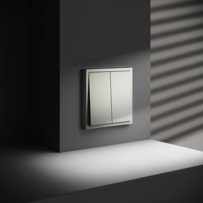 VLS020605 Выключатель с самовозвратом встраиваемый VOLTUM S70 двухклавишный 10А, (сталь) (ТМ Maytoni)