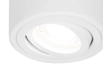Накладной поворотный точечный светильник TN225 WH белый GU5.3 D80*100