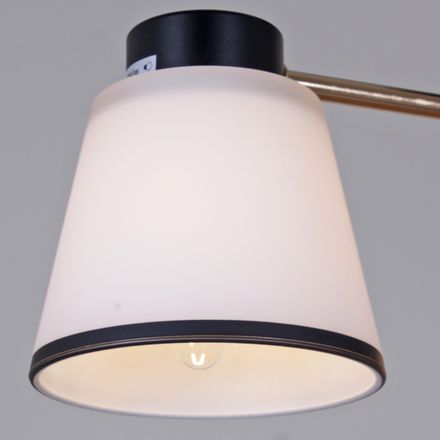 30560-0.3-03 BK+FG светильник потолочный