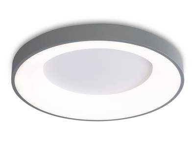 Потолочный светодиодный светильник FZ1402 GR серый IP20 48W 3000K-6500K D500*50 (ПДУ ИК)