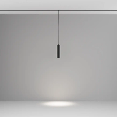 Трековый подвесной светильник Фокус / Focus Led Exility 2700-6000K 12Вт 36° Dim Smart, TR041-4-12W3K-M-DS-B. TM Maytoni
