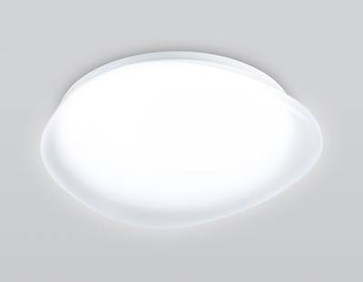 Светильник светодиодный потолочный FZ1601 FR матовый IP20 40W 5000K 410*100 (Без ПДУ)