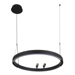 Подвесная люстра Slinga 4474-1P, LED*58W + 2*LED*3W, 1860LM, 3000-6500K. ТМ F-Promo