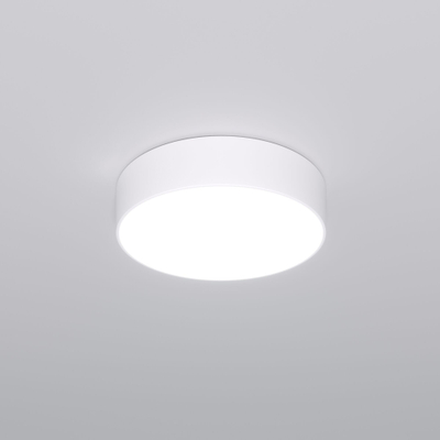 Потолочный светодиодный светильник 90318/1 белый, LED