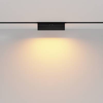 Трековый светильник Basis Exility 2700K 12Вт 120°, TR036-2-12W2.7K-B. TM Maytoni