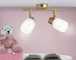 Настенно-потолочный спот TR3969/2 BS/FR латунь/белый матовый  E27*2 max 40W 260*80*210